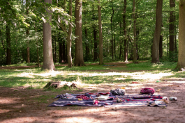  Naturkindergarten Eilenriede