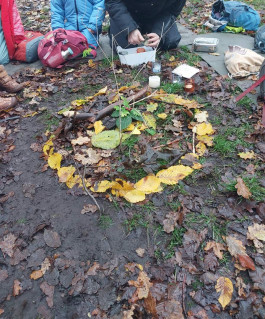  Naturkindergarten Eilenriede
