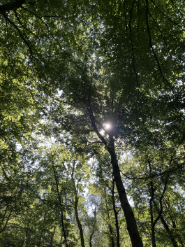  Naturkindergarten Eilenriede