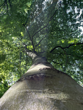  Naturkindergarten Eilenriede